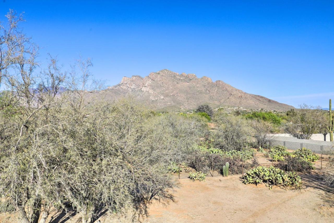 Oro Valley Retreat With Pool, Spa And Rooftop Views! Exteriör bild